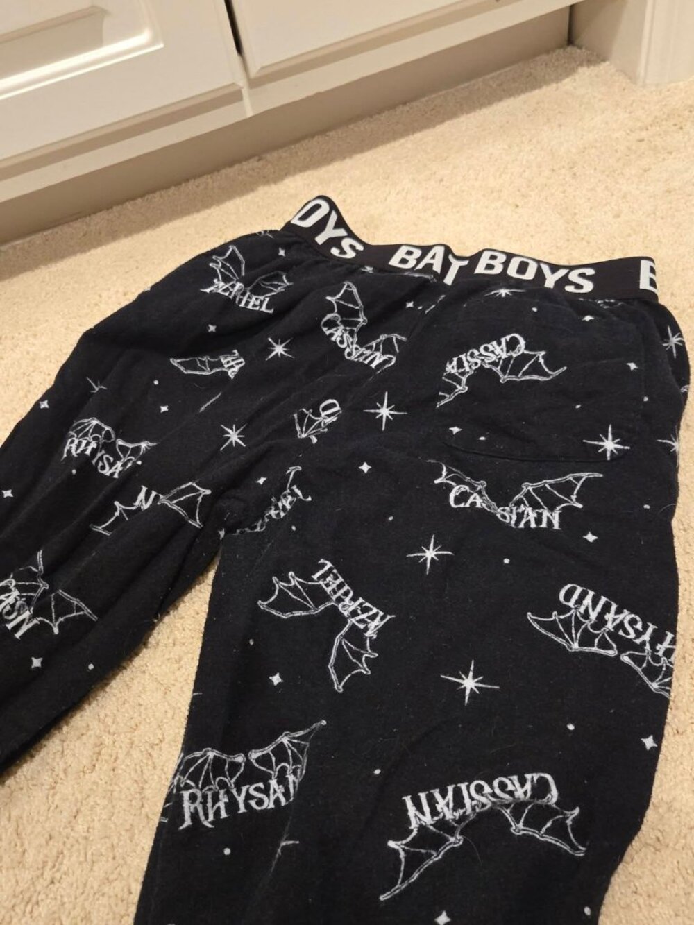 Hot Topic A Court of Thorns and Roses Bat Boys Pajama Pants Size Small - Picture 5 of 9